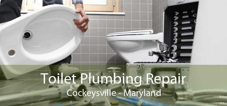 Toilet Plumbing Repair Cockeysville - Maryland
