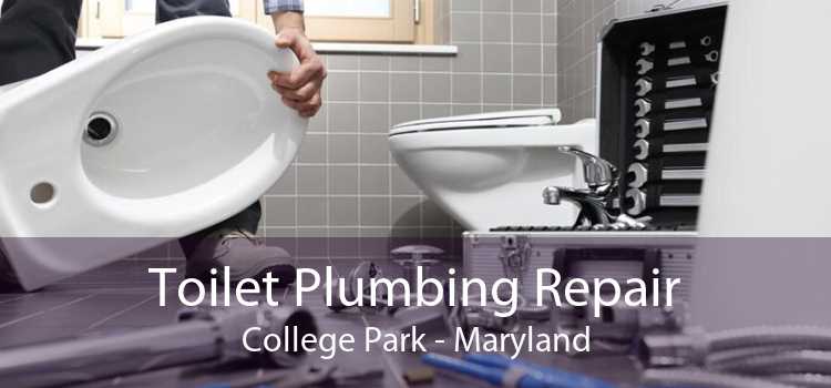 Toilet Plumbing Repair College Park - Maryland