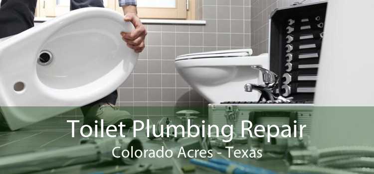 Toilet Plumbing Repair Colorado Acres - Texas