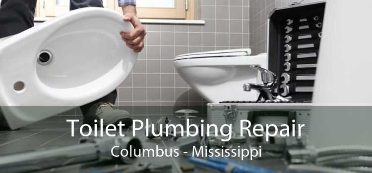 Toilet Plumbing Repair Columbus - Mississippi