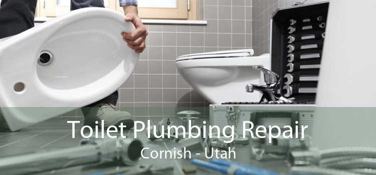 Toilet Plumbing Repair Cornish - Utah