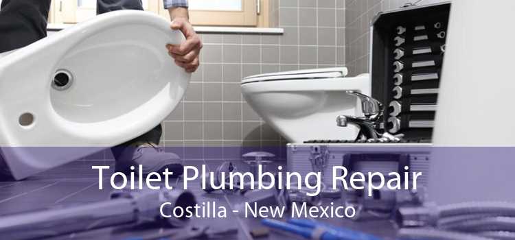 Toilet Plumbing Repair Costilla - New Mexico