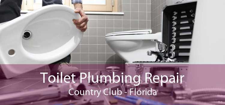 Toilet Plumbing Repair Country Club - Florida