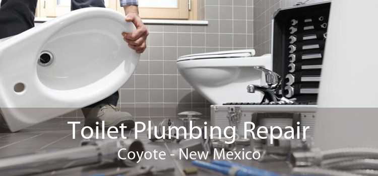 Toilet Plumbing Repair Coyote - New Mexico