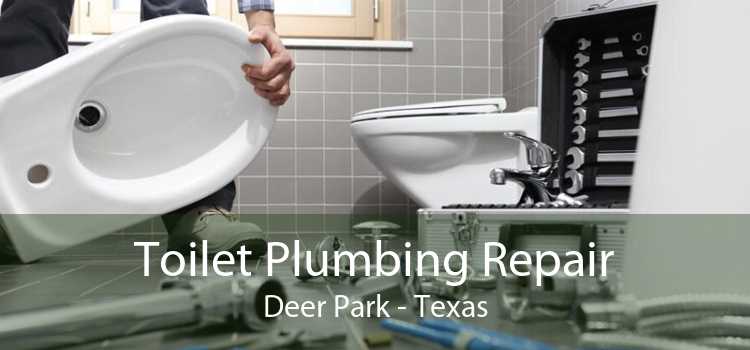 Toilet Plumbing Repair Deer Park - Texas