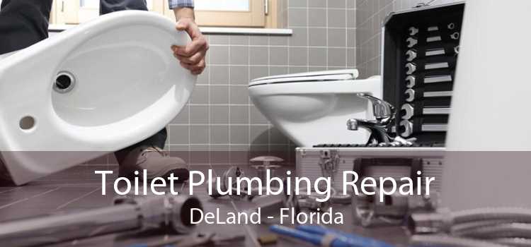 Toilet Plumbing Repair DeLand - Florida