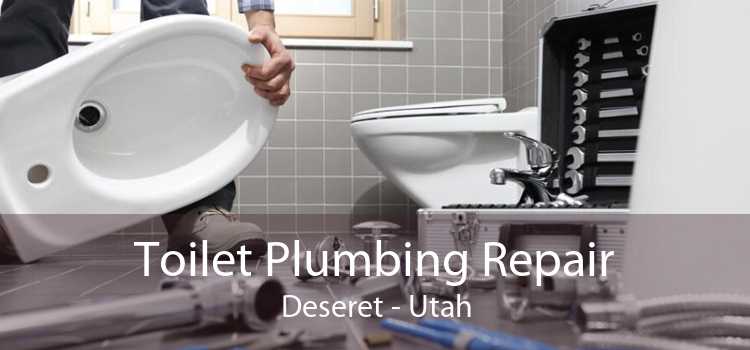 Toilet Plumbing Repair Deseret - Utah