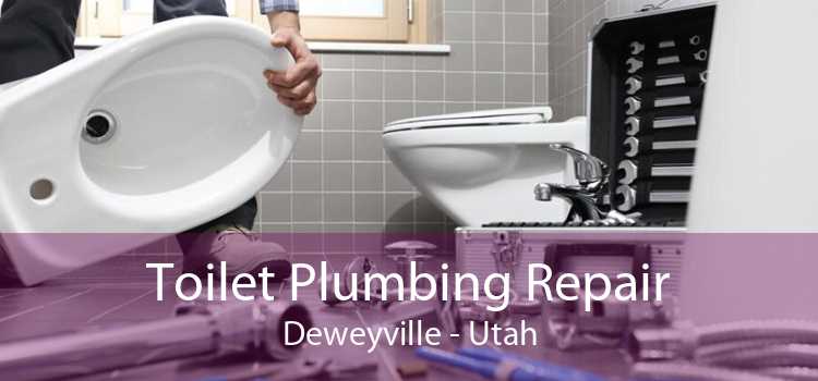Toilet Plumbing Repair Deweyville - Utah