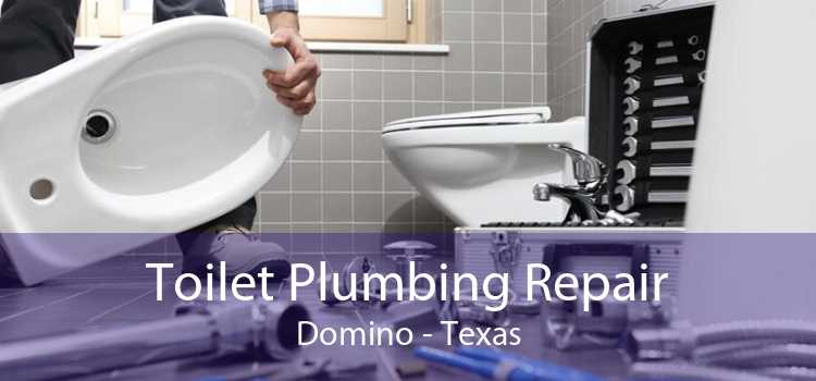 Toilet Plumbing Repair Domino - Texas