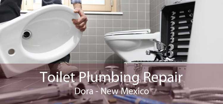 Toilet Plumbing Repair Dora - New Mexico