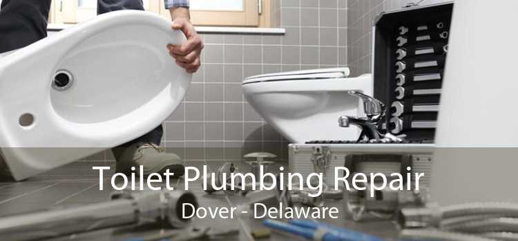 Toilet Plumbing Repair Dover - Delaware