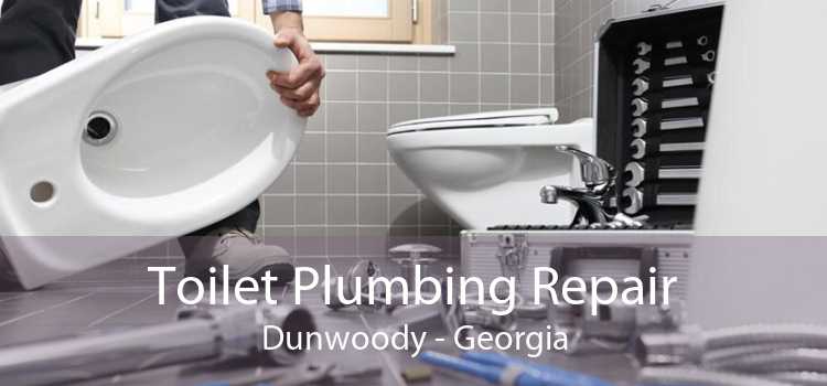 Toilet Plumbing Repair Dunwoody - Georgia