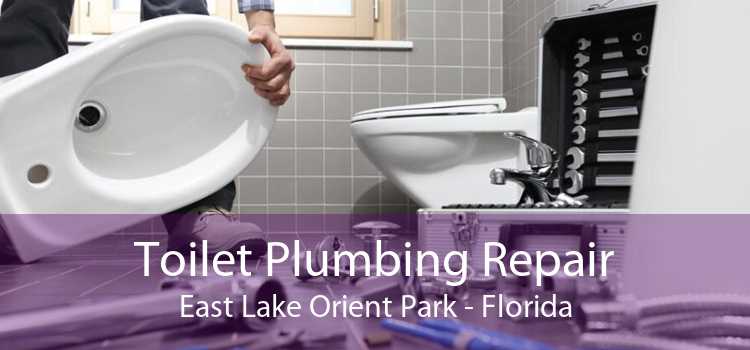 Toilet Plumbing Repair East Lake Orient Park - Florida