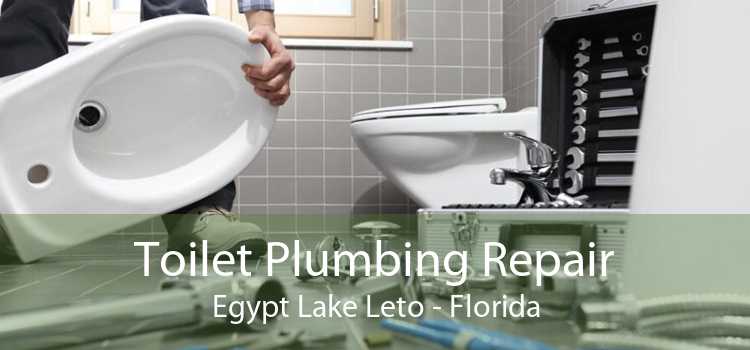 Toilet Plumbing Repair Egypt Lake Leto - Florida