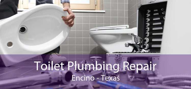 Toilet Plumbing Repair Encino - Texas