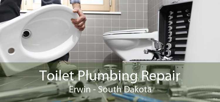 Toilet Plumbing Repair Erwin - South Dakota