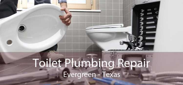 Toilet Plumbing Repair Evergreen - Texas