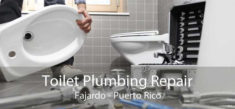 Toilet Plumbing Repair Fajardo - Puerto Rico