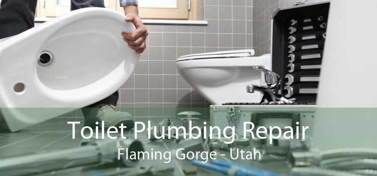 Toilet Plumbing Repair Flaming Gorge - Utah