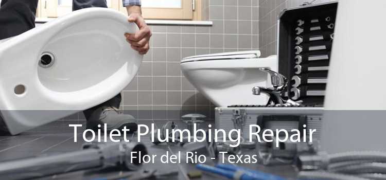 Toilet Plumbing Repair Flor del Rio - Texas