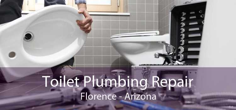 Toilet Plumbing Repair Florence - Arizona