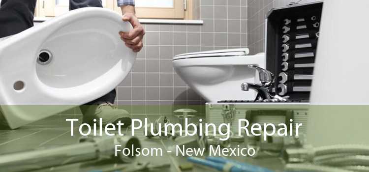 Toilet Plumbing Repair Folsom - New Mexico