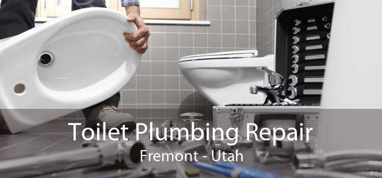 Toilet Plumbing Repair Fremont - Utah