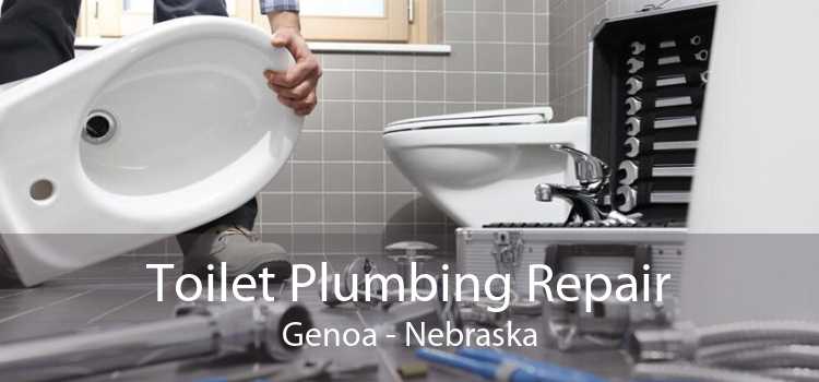 Toilet Plumbing Repair Genoa - Nebraska