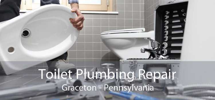 Toilet Plumbing Repair Graceton - Pennsylvania