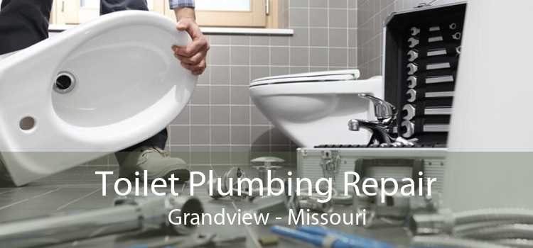 Toilet Plumbing Repair Grandview - Missouri