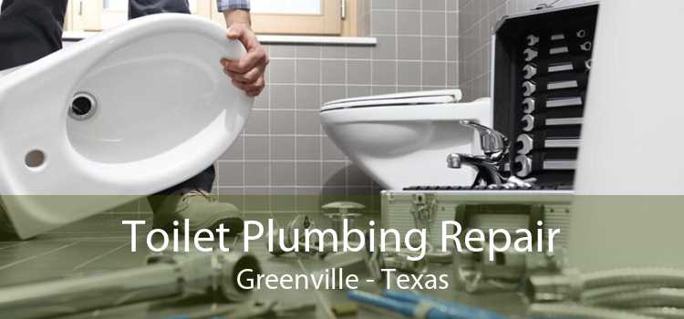 Toilet Plumbing Repair Greenville - Texas