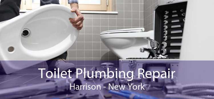 Toilet Plumbing Repair Harrison - New York
