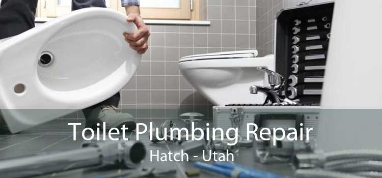 Toilet Plumbing Repair Hatch - Utah
