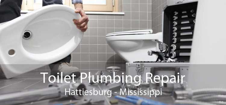 Toilet Plumbing Repair Hattiesburg - Mississippi