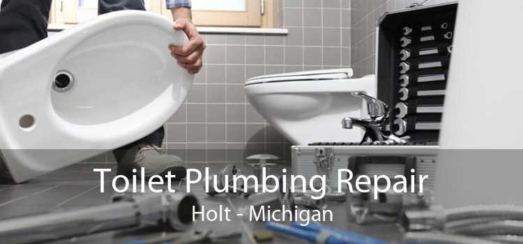 Toilet Plumbing Repair Holt - Michigan