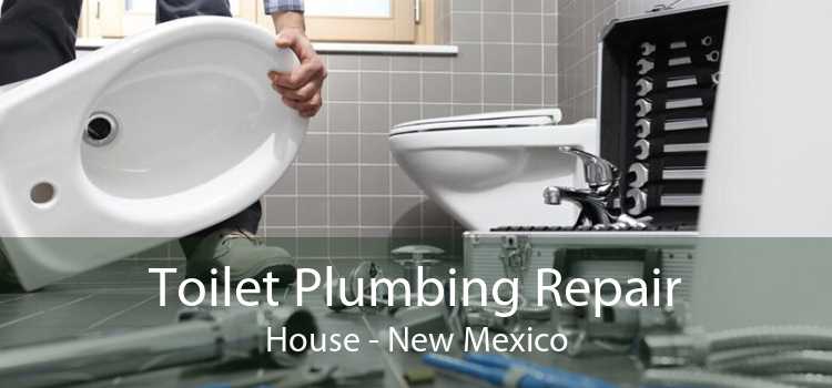 Toilet Plumbing Repair House - New Mexico
