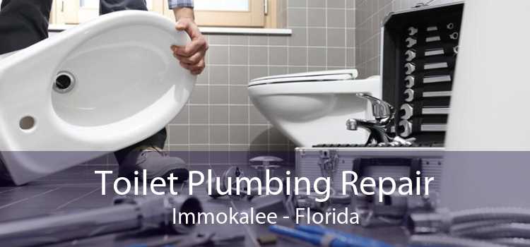 Toilet Plumbing Repair Immokalee - Florida