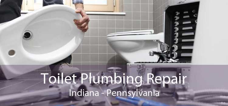 Toilet Plumbing Repair Indiana - Pennsylvania