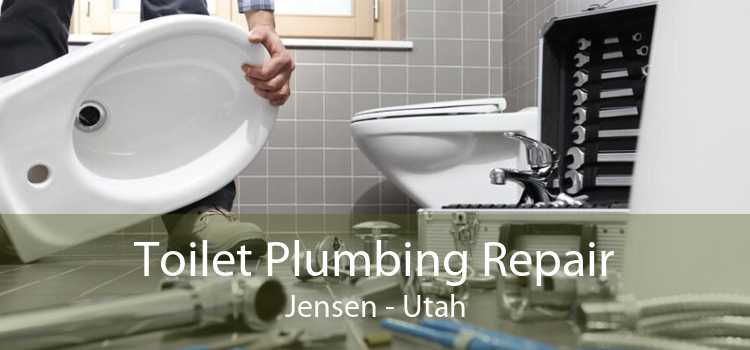 Toilet Plumbing Repair Jensen - Utah
