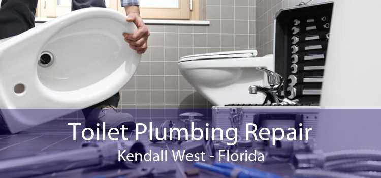 Toilet Plumbing Repair Kendall West - Florida