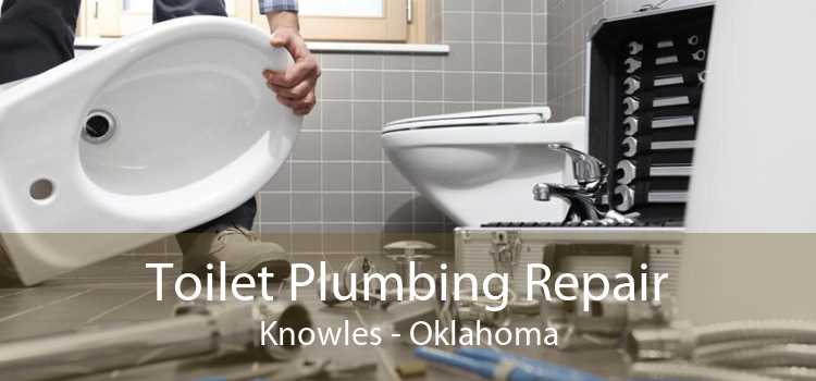 Toilet Plumbing Repair Knowles - Oklahoma