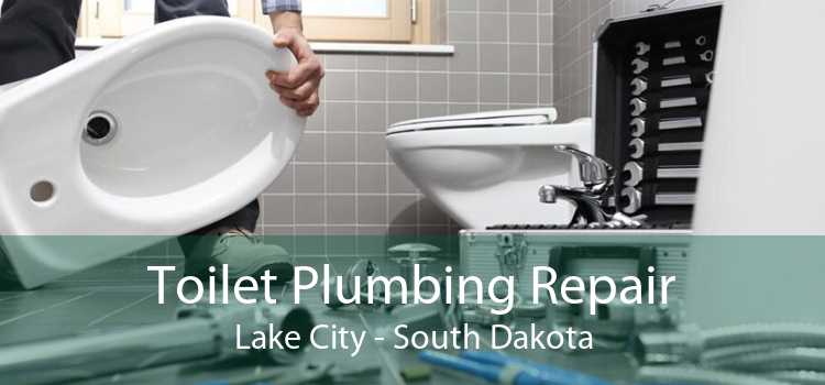 Toilet Plumbing Repair Lake City - South Dakota