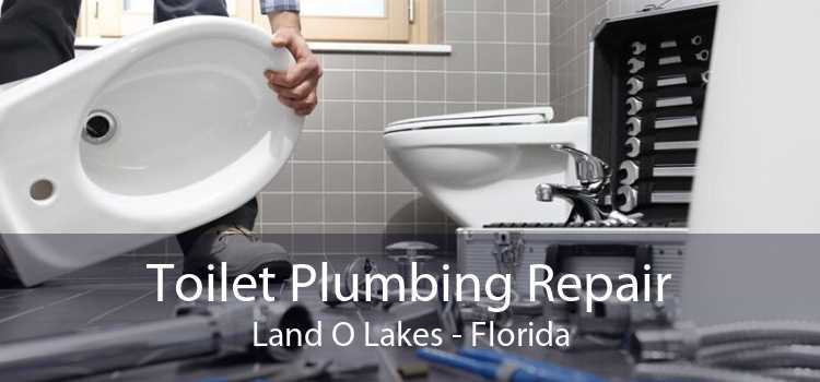 Toilet Plumbing Repair Land O Lakes - Florida