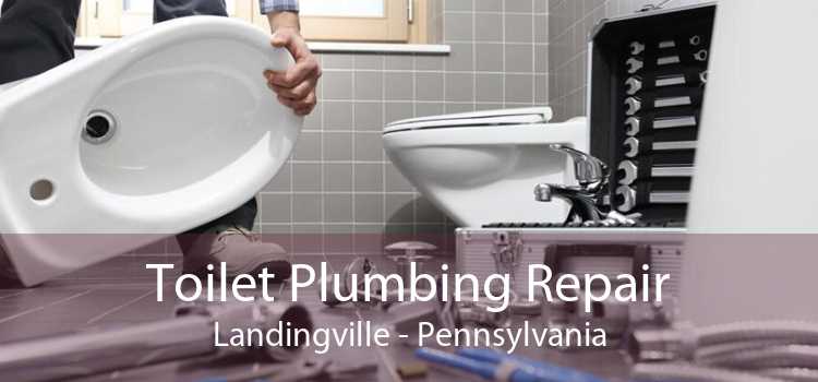 Toilet Plumbing Repair Landingville - Pennsylvania