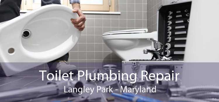 Toilet Plumbing Repair Langley Park - Maryland