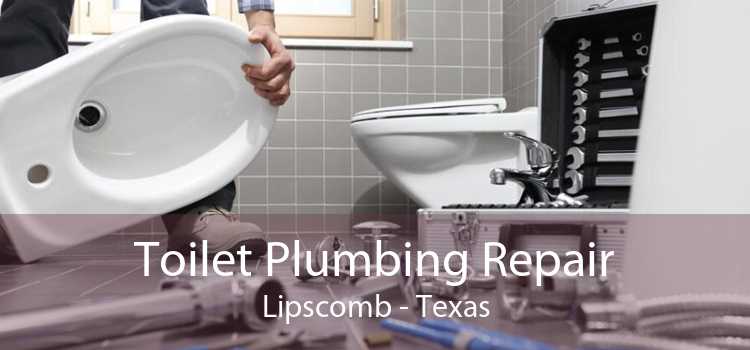Toilet Plumbing Repair Lipscomb - Texas