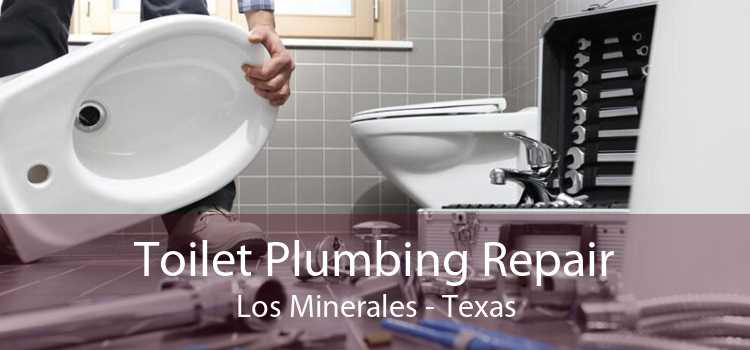 Toilet Plumbing Repair Los Minerales - Texas