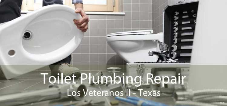 Toilet Plumbing Repair Los Veteranos II - Texas