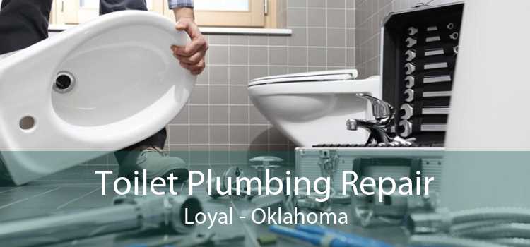 Toilet Plumbing Repair Loyal - Oklahoma