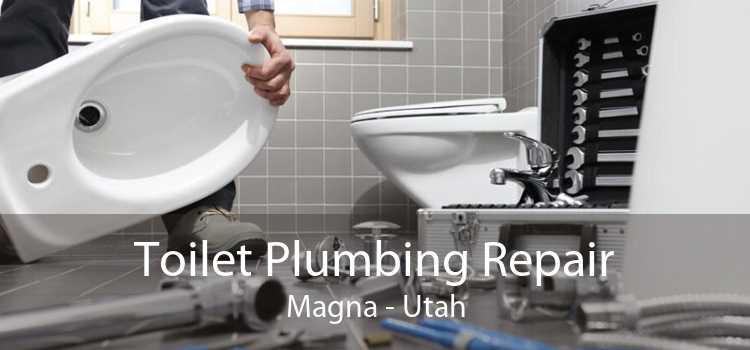 Toilet Plumbing Repair Magna - Utah